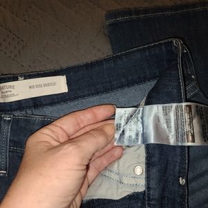 Signature Levi Strauss